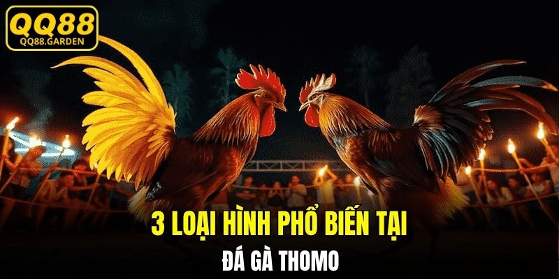 3 loại hình phổ biến tại đá gà Thomo