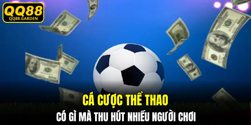 Cá cược thể thao có gì mà thu hút nhiều người chơi