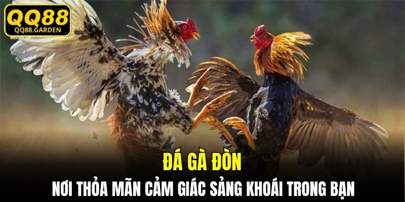 đá gà đòn