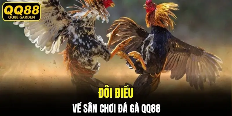 Đôi điều về sân chơi đá gà QQ88